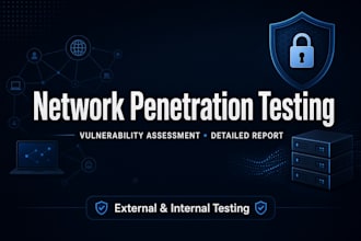 do network penetration testing and vulnerability assessment