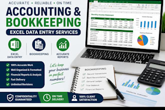 do professional accounting, bookkeeping and excel data entry