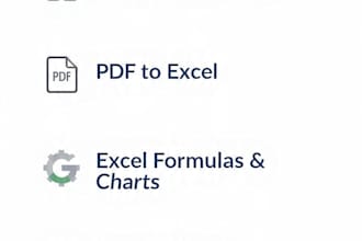 do fast and accurate excel and PDF data entry