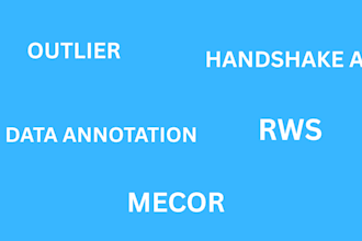 do and manage outlier, handshake ai, rws, mecor and data annotation