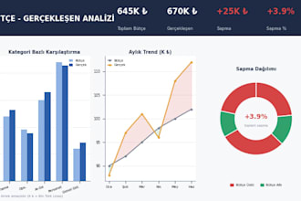 check audit reports and also write audit report