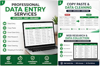 do accurate data entry, copy paste, web research and excel work