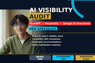 do a professional SEO audit for your ecommerce store