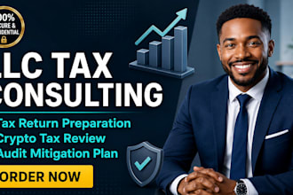 review your corporate llc tax return to draft an irs audit mitigation plan