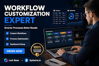 customize lark base and systeme io workflows and business systems experts