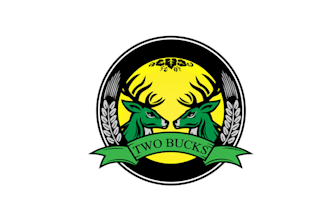 make captivating logo for two bucks brewing beer bar