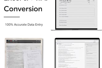 do PDF to excel and word data entry accurately