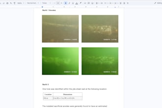write professional technical and inspection reports