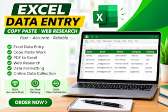 fast excel data entry copy paste and spreadsheet formatting 24hours