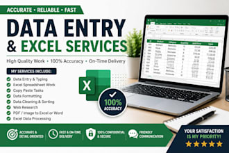do accurate data entry and excel spreadsheet work