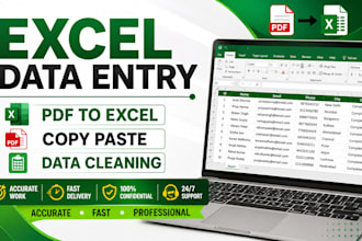 excel data entry, PDF to excel, copy paste, data  cleaning