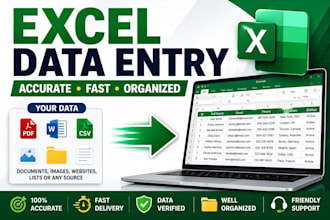 do professional excel data entry and spreadsheet work
