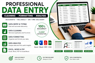 do professional data entry, data cleaning, data enalysis