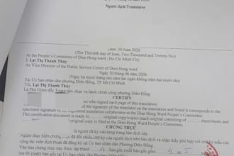 professionally translate english to vietnamese and vietnamese to english
