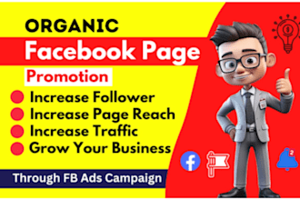 do organic facebook page promotion and fb ads campaign