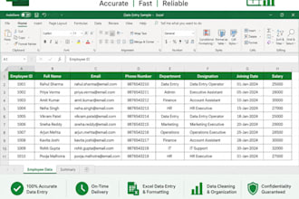 do data entry and excel spreadsheet work
