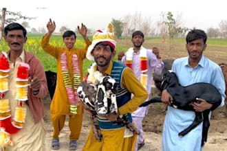 wish happy birthday video