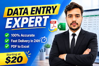 do  data entry ,excel, PDF to excel and web search