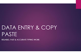 do accurate data entry and professional microsoft excel formatting