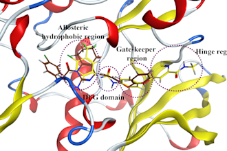 perform molecular docking analysis