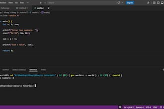 write and debug c and cpp programs