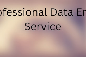 do accurate data entry and google sheet work