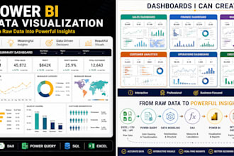 create professional dashboards and data visualizations