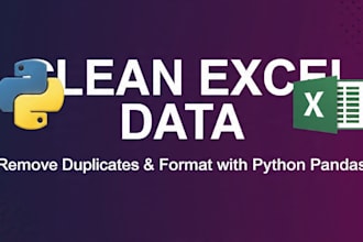 clean and organize excel data with python pandas