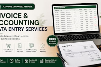 invoice and accounting data entry in excel and software