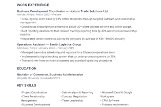 write a professional CV and cover letter for job applications