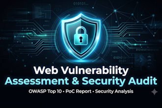 perform web vulnerability assessment and penetration testing