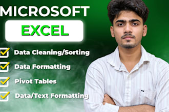 do excel data cleaning, sorting and formatting