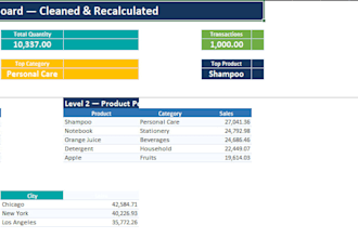 create a professional excel dashboard and mis
