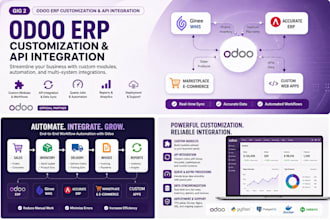 customize odoo erp and integrate apis with ginee or accurate