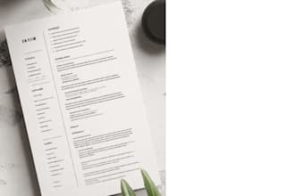write professional CV writing services, US format