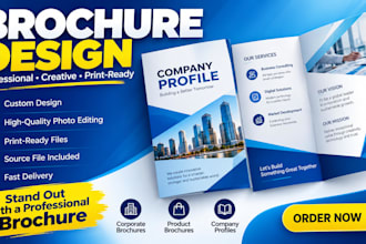 design a professional brochure, flyer, booklet