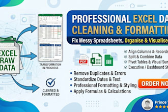 clean and format your raw excel data