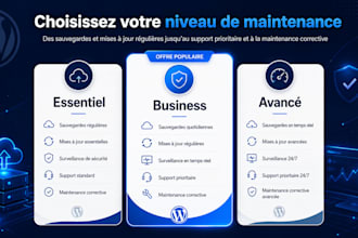 provide professional wordpress maintenance and support