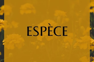 worldbuilding creation espece fictif