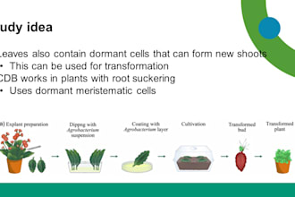 create professional biology powerpoint presentations
