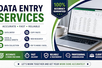 do data entry, copy paste, web research and excel work