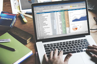all the spreadsheet excel google sheet data entry and documents management