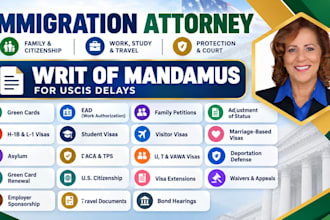 draft and review writ of mandamus immigration lawyer