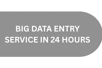 do scalable big data entry service in 24 hours