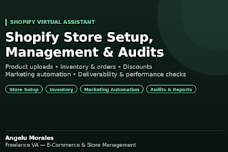 set up and audit your shopify store