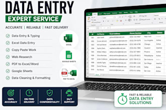 do accurate data entry and excel data processing