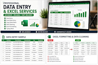 data entry and excel services