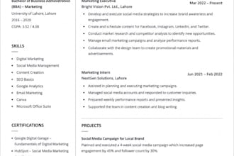 design a professional CV or resume