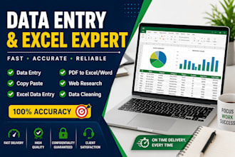 accurate data entry and typing work