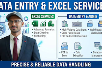 do data entry, cleaning, format excel, pdf to excel entry